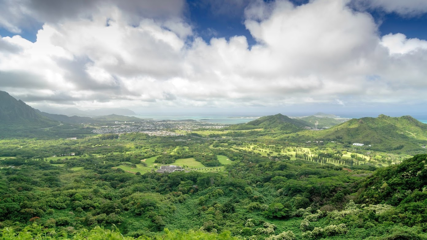 Oahu: Honolulu - Hawaii: 3 islas en dos semanas (4)