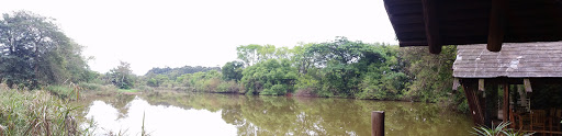 Mlilwane Wildlife Sanctuary