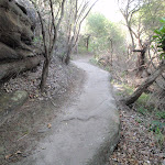 Track leading beside a rock wall (253034)