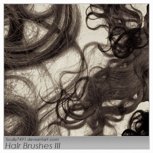 26 Sets of Photoshop Hair Brushes You Can use for Free | PHOTOSHOP FREE  BRUSHES