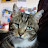 Gerald Thulbourn avatar image