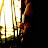 Saurabh Sarang avatar image