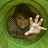 James Durbin avatar image