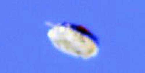 Ufo Ringed With Lights Followed Vehicle 10 Miles North Of Palm Springs California