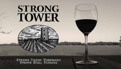 Main image of Strong Tower Vineyard & Winery