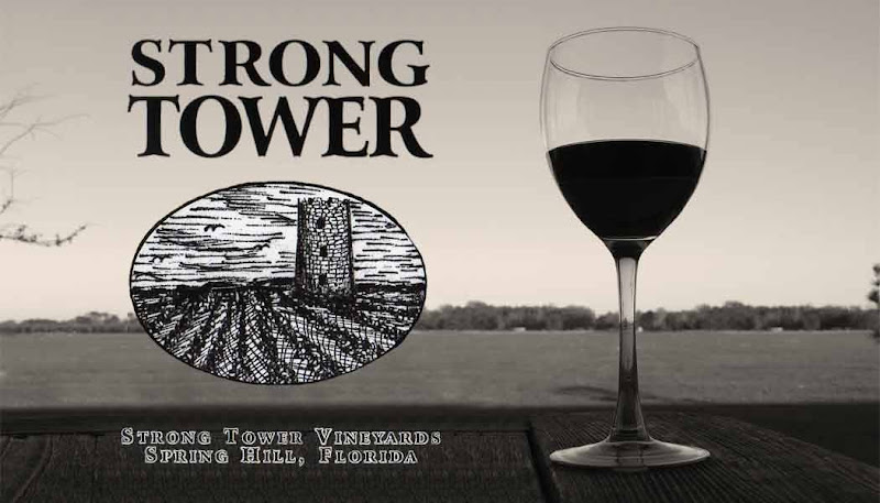 Imagen principal de Strong Tower Vineyard & Winery