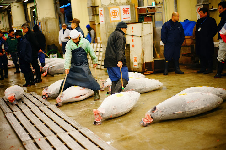 carrying tuna with hook tsukiji fish market