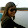 LaLa Poo LaLa Poo's profile photo