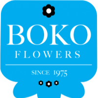 Boko Flowers Schiedam logo