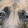 Frank Davis Frank Davis's profile photo