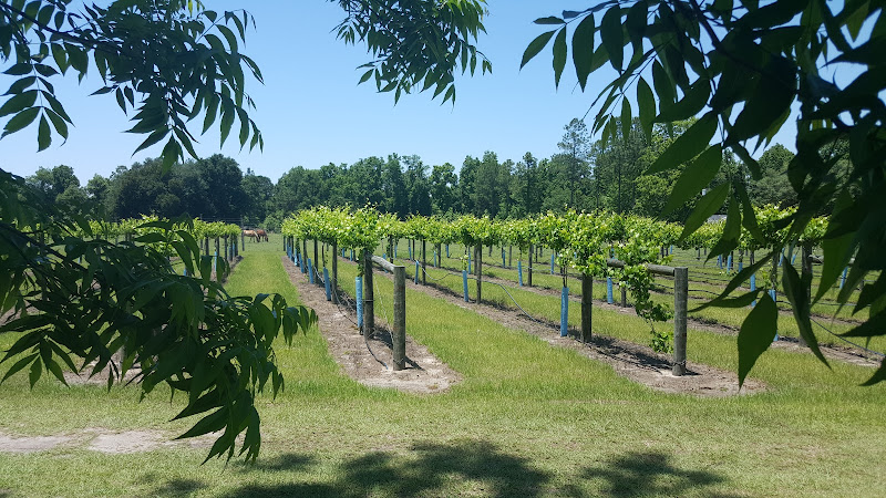 Hauptbild von Bluefield Estate Winery