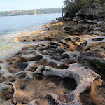 Interesting rock formation beside the Hermitage Foreshore Walk (252998)