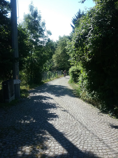 Friedrichsruh