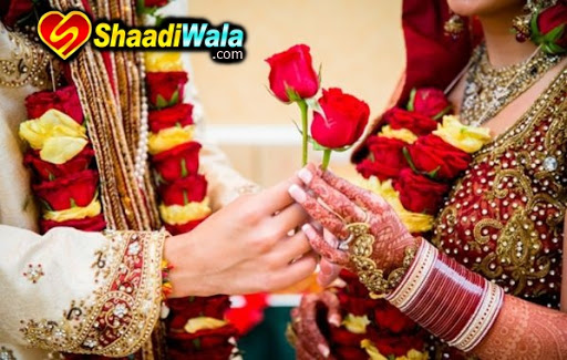 Shaadiwala, 1513, Near Shri Hari Mandir, Sector 59, Sahibzada Ajit Singh Nagar, Punjab 160059, India, Marriage_Consultant, state PB