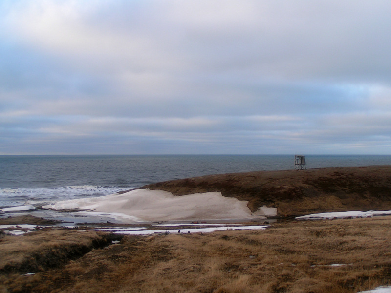 Остров колгуев поселок бугрино Остров колгуев поселок бугрино