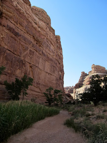 More shade in a relatively lush area