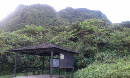 Montagne Pelée