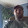 Frank S Frank S's profile photo