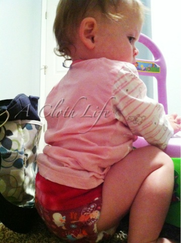 Jelly Bear Boutique fitted cloth diaper review