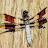 Marcus A. avatar image