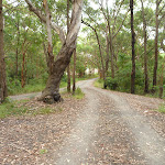 Awabakal car park near Dudley in the Awabakal Nature Reserve (391673)