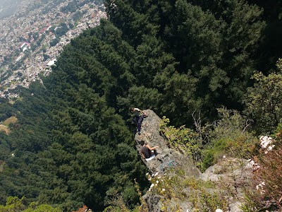 park