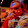 Tom Franklin Tom Franklin's profile photo
