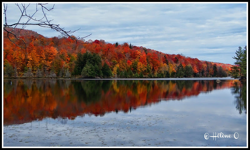 Paysages d'automne au Québec PA058128