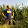 Carsten Boschen Carsten Boschen's profile photo