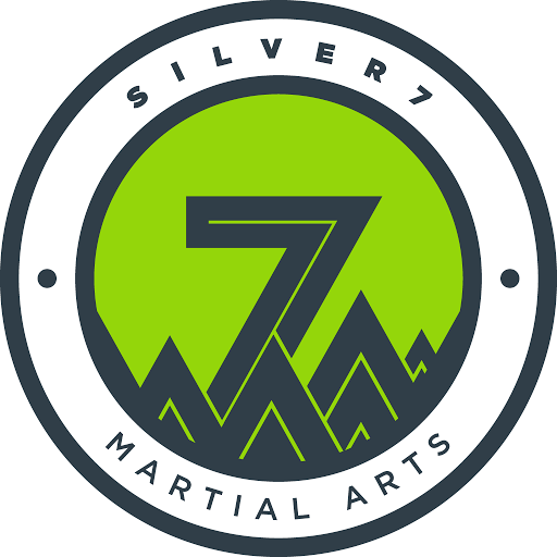 Silver 7 Martial Arts & Fitness - Barrhaven logo
