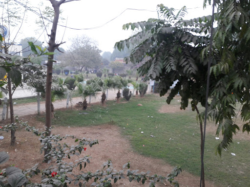 Rose Garden Of Patiala, NH 64, Lahori Gate, Patiala, Punjab 147001, India, Garden, state PB