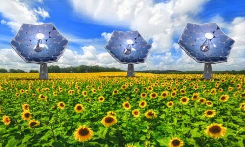Ibms New Sunflower Shaped Solar Concentrators Produce Energy And Fresh Water