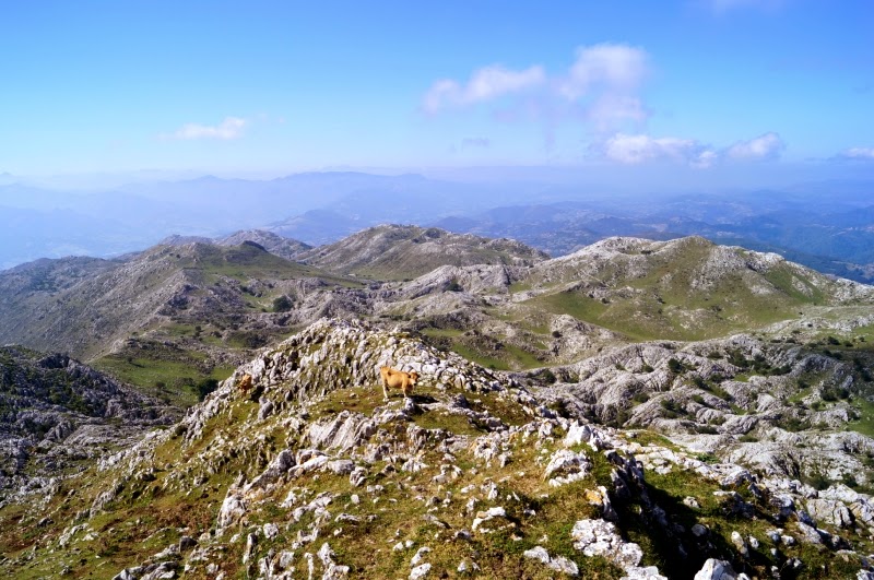 Picu Mirueñu y circular por el Sueve oriental - Descubriendo Asturias (19)