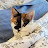 Shirley M. Fountain avatar image