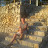 Ian Winterbottom avatar image