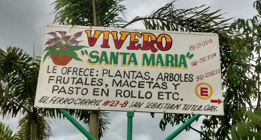 Vivero Santa Maria, Avenida Ferrocarril 27, San Sebastian, San Sebastián Tutla, México, Vivero mayorista | OAX