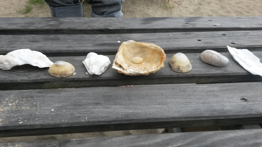 L'Ile aux pirates