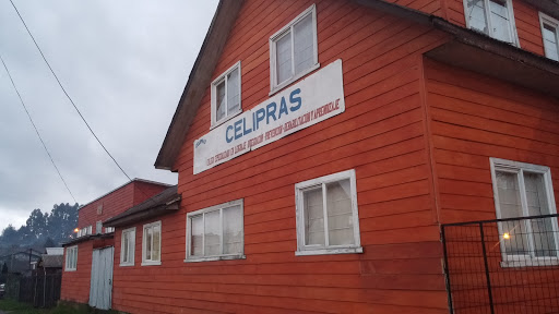 Escuela Celipras, Lanín 283, Los Lagos, Región de los Ríos, Chile, Escuela | Los Ríos