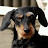 Erik de beus avatar image