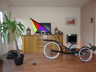 recumbent trike flag lights