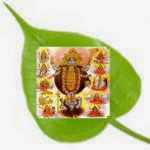 Siddha Das Mahavidya 10 Mahavidya Maha Raksha Kavach