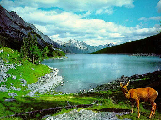 desktop backgrounds nature desktop backgrounds national geographic
