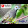 sadjie f sadjie f's profile photo