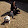 Martha McDougall Martha McDougall's profile photo
