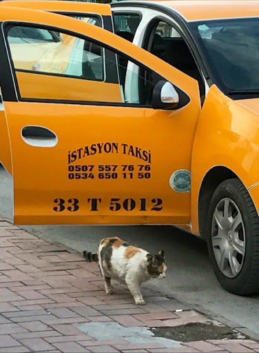 İstasyon Taksi logo