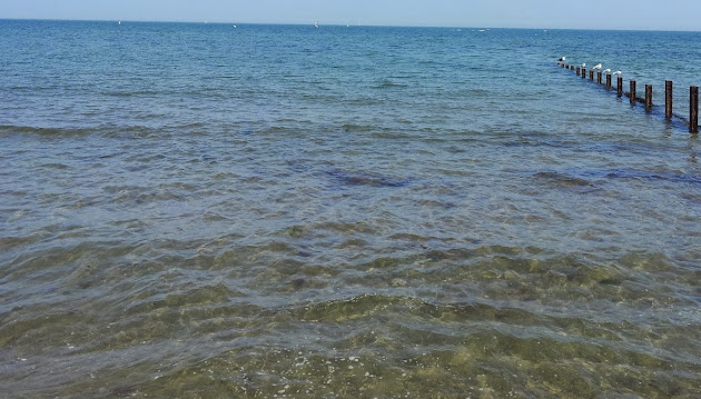 Cover photo