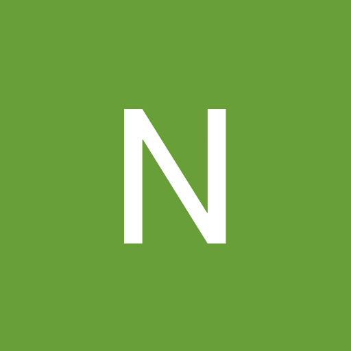 NadavBluebirdGlobal