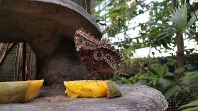 Photos of National Aquarium Denmark