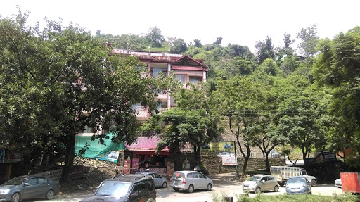 Chandermukhi Resorts, Kalka-Shimla Highway, National Highway 22, Koti, Himachal Pradesh 173209, India, Resort, state HP