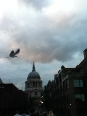 St. Paul's and Seagull